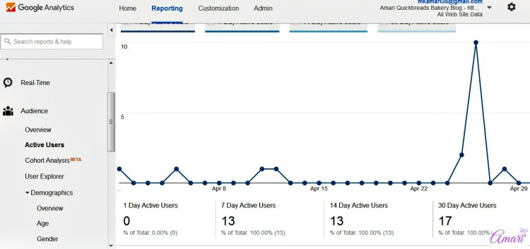 Google Analytics offers lots of tracking and reporting insights for your site