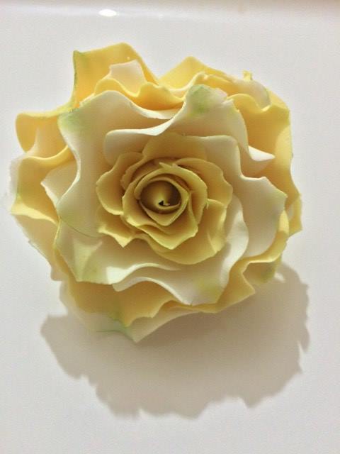 rose-flower-by-evelyn_demo