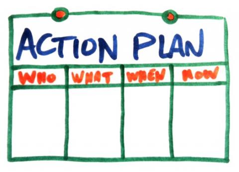 Action plan pic