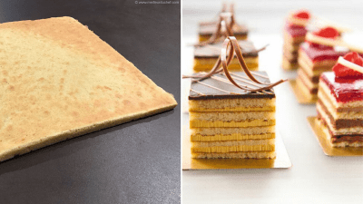 Jaconde sponge examples graphic